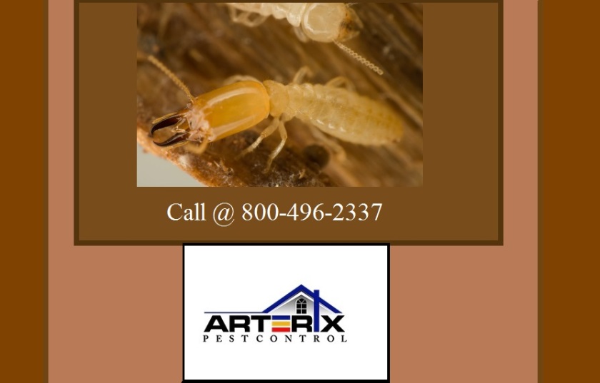 pest-control-companies